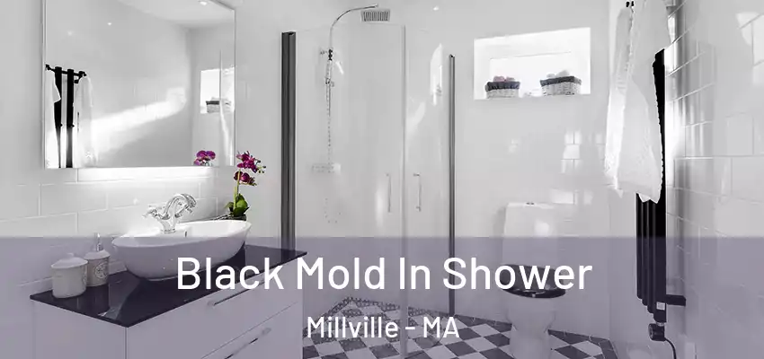 Black Mold In Shower Millville - MA