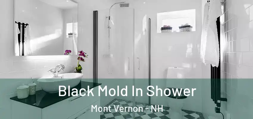  Black Mold In Shower Mont Vernon - NH