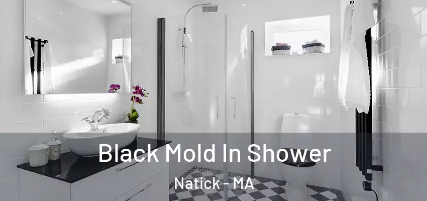 Black Mold In Shower Natick - MA