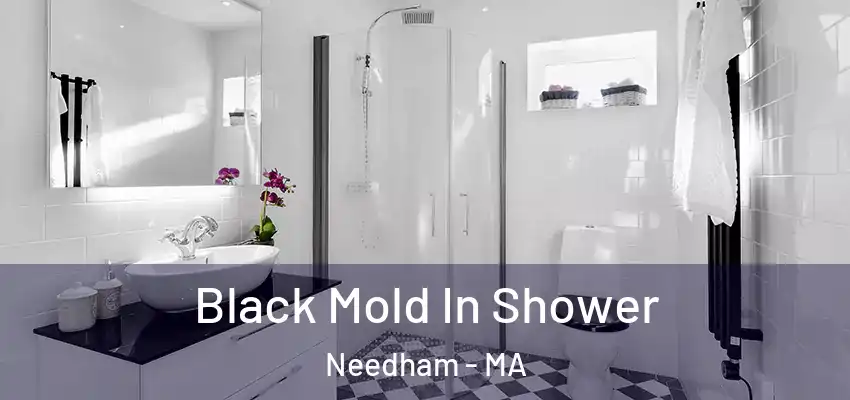 Black Mold In Shower Needham - MA