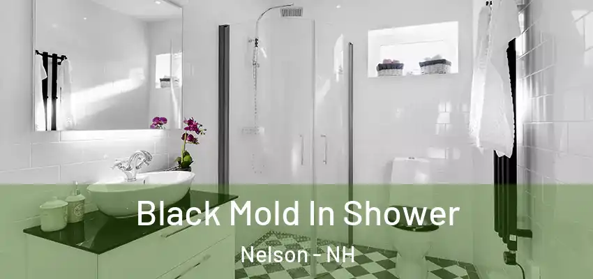  Black Mold In Shower Nelson - NH