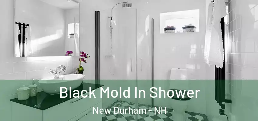 Black Mold In Shower New Durham - NH