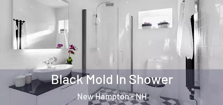  Black Mold In Shower New Hampton - NH
