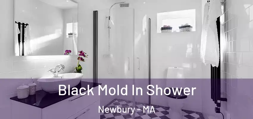  Black Mold In Shower Newbury - MA