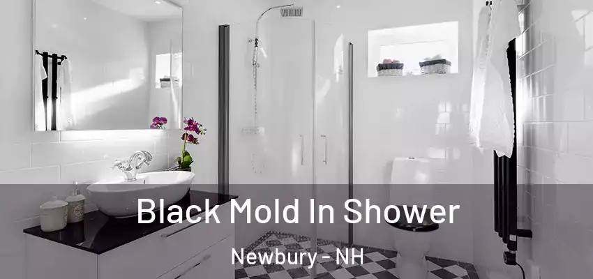 Black Mold In Shower Newbury - NH