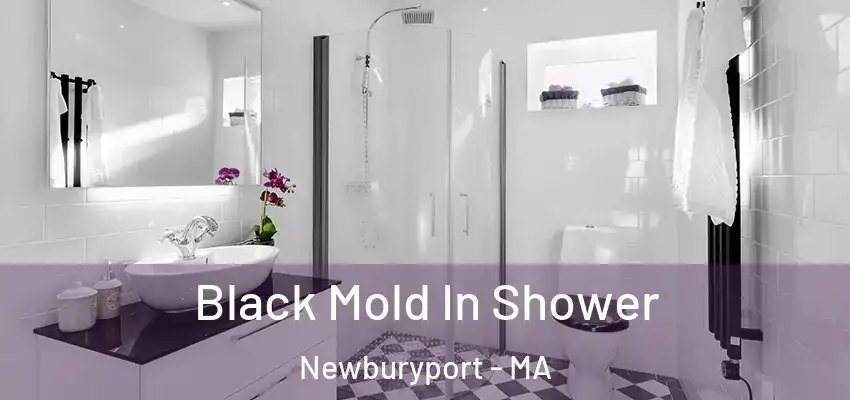 Black Mold In Shower Newburyport - MA