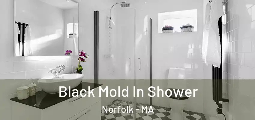  Black Mold In Shower Norfolk - MA