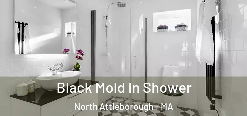  Black Mold In Shower North Attleborough - MA