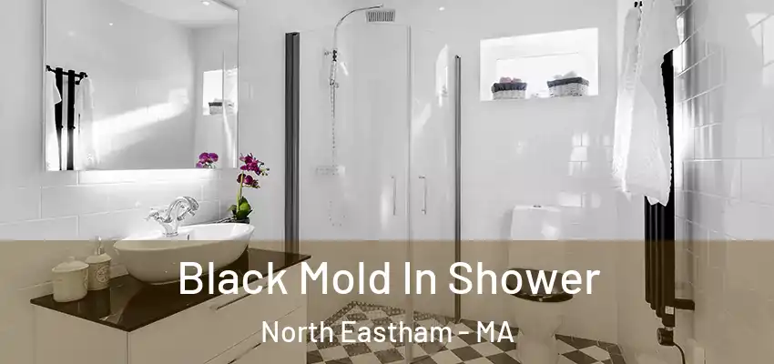  Black Mold In Shower North Eastham - MA