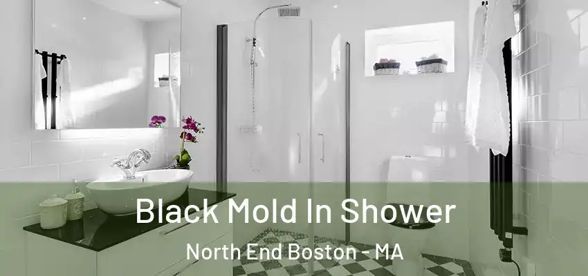  Black Mold In Shower North End Boston - MA