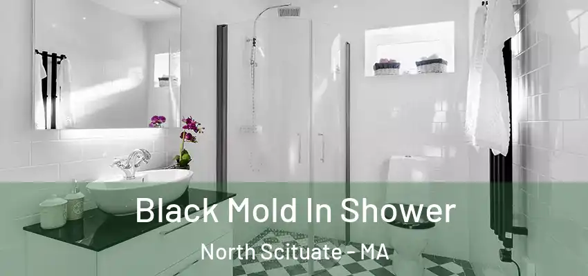 Black Mold In Shower North Scituate - MA
