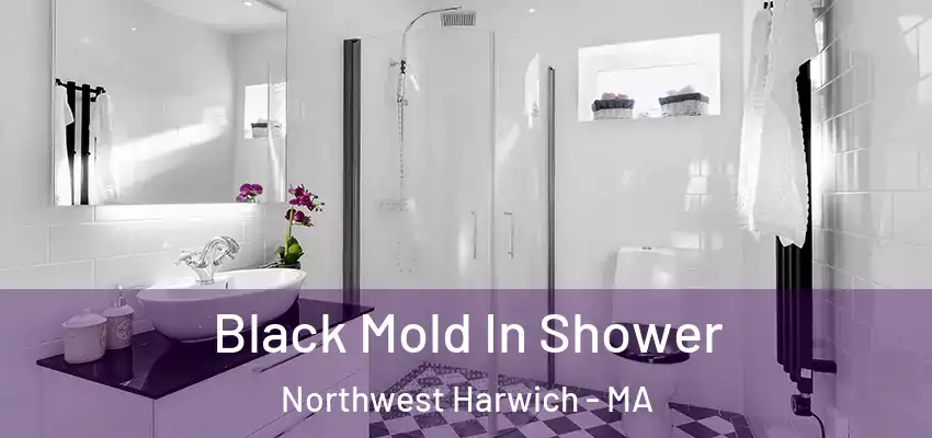 Black Mold In Shower Northwest Harwich - MA