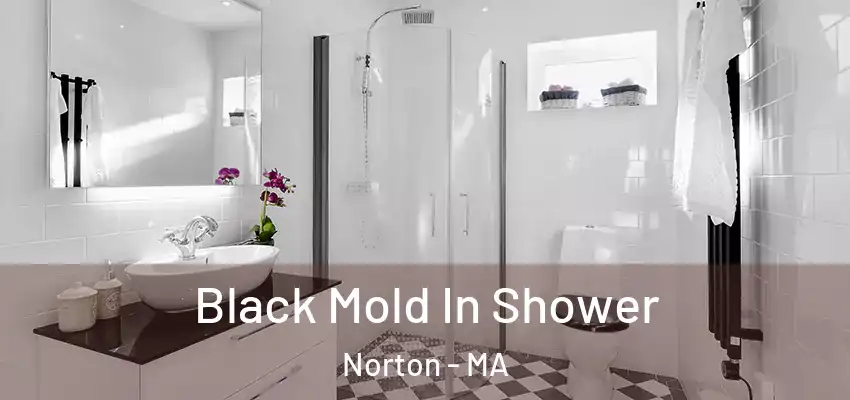  Black Mold In Shower Norton - MA