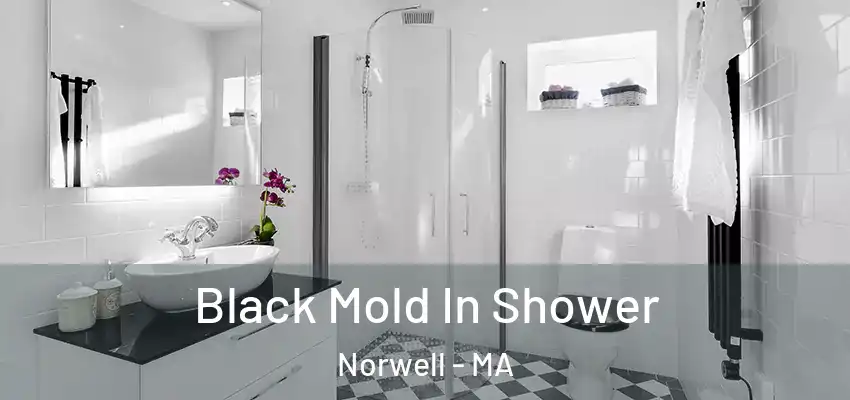  Black Mold In Shower Norwell - MA