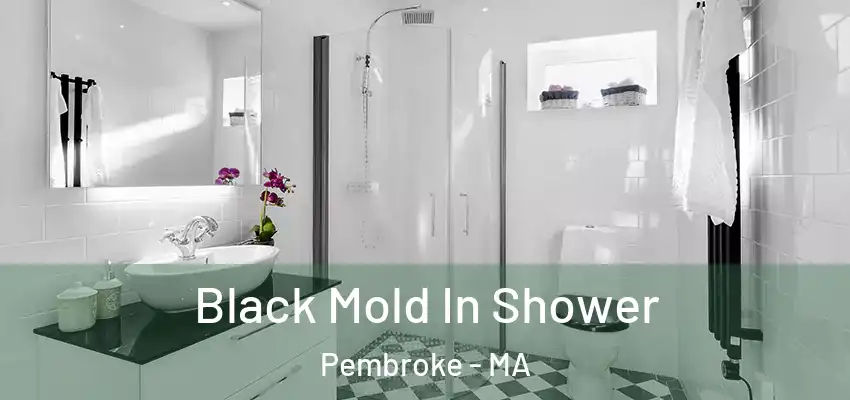  Black Mold In Shower Pembroke - MA
