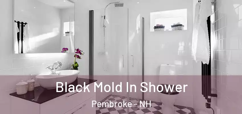  Black Mold In Shower Pembroke - NH