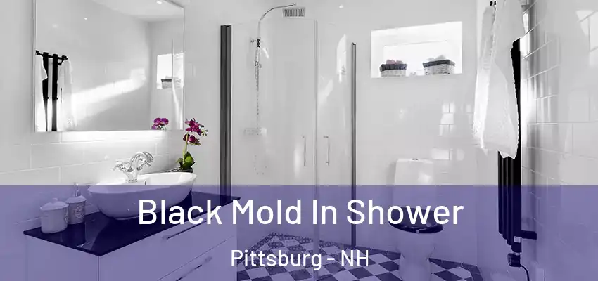Black Mold In Shower Pittsburg - NH