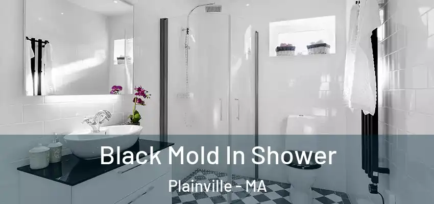  Black Mold In Shower Plainville - MA
