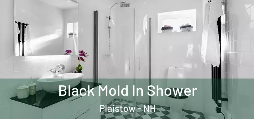 Black Mold In Shower Plaistow - NH