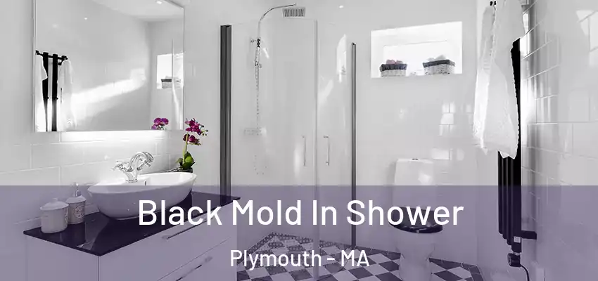 Black Mold In Shower Plymouth - MA