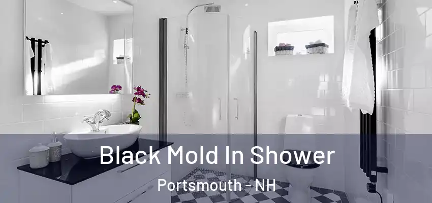 Black Mold In Shower Portsmouth - NH