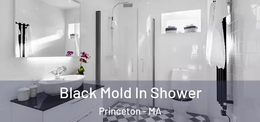 Black Mold In Shower Princeton - MA