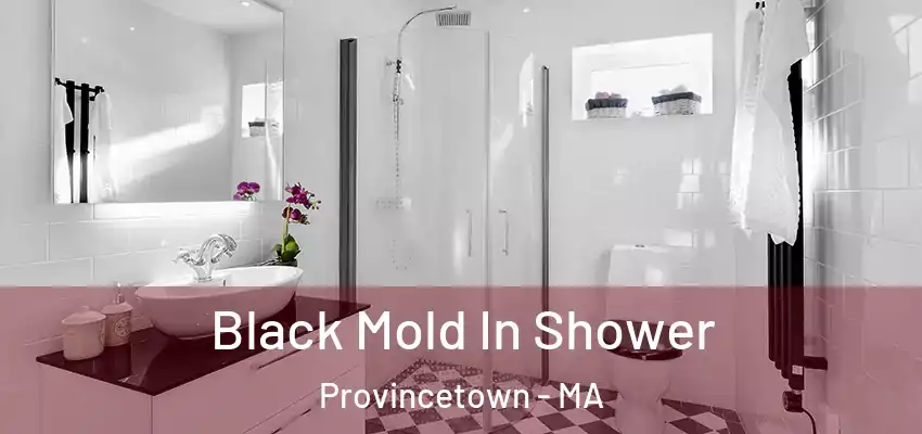  Black Mold In Shower Provincetown - MA