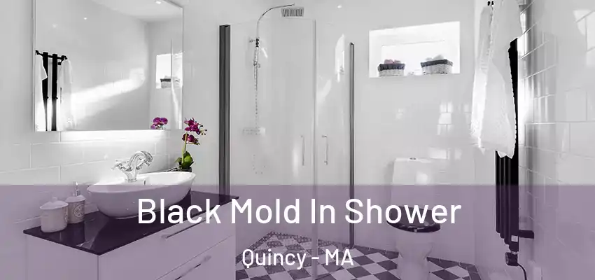  Black Mold In Shower Quincy - MA