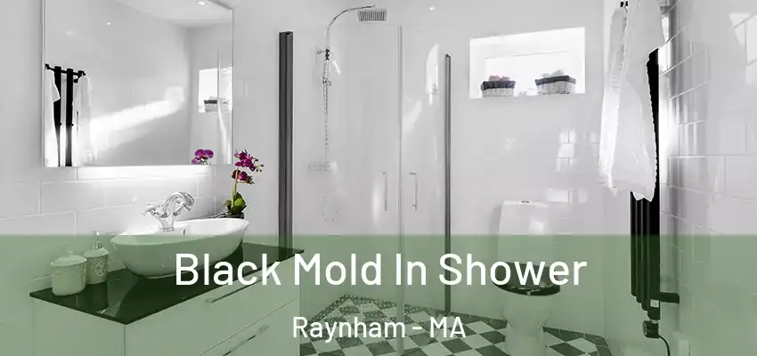  Black Mold In Shower Raynham - MA