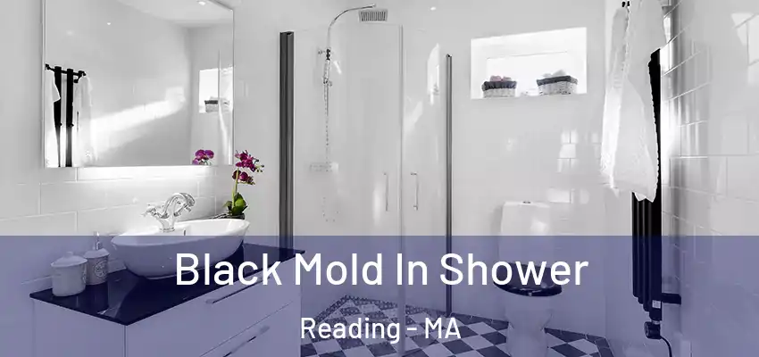 Black Mold In Shower Reading - MA