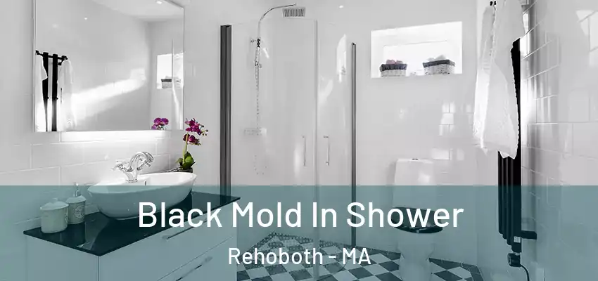  Black Mold In Shower Rehoboth - MA