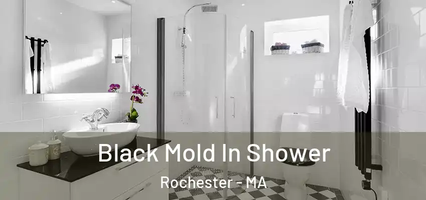 Black Mold In Shower Rochester - MA