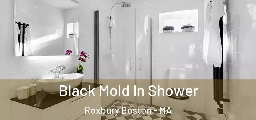  Black Mold In Shower Roxbury Boston - MA