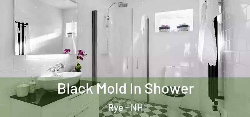 Black Mold In Shower Rye - NH