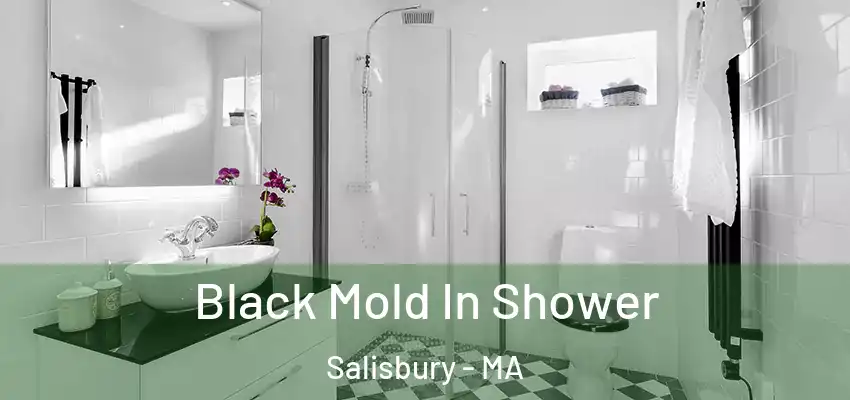 Black Mold In Shower Salisbury - MA