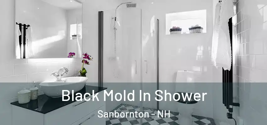 Black Mold In Shower Sanbornton - NH