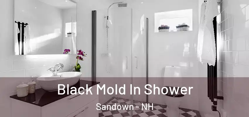  Black Mold In Shower Sandown - NH