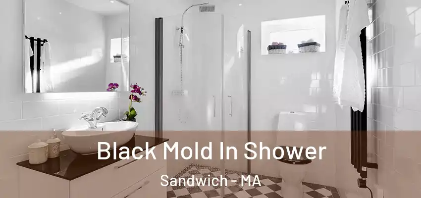 Black Mold In Shower Sandwich - MA
