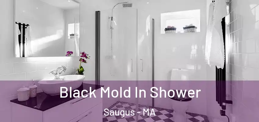  Black Mold In Shower Saugus - MA