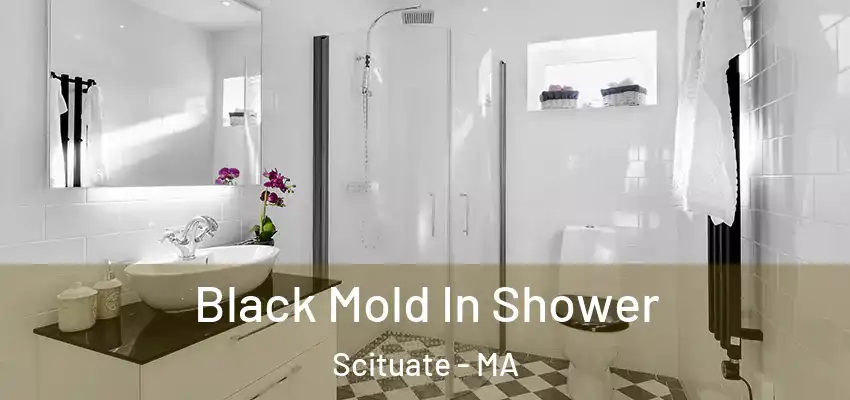 Black Mold In Shower Scituate - MA