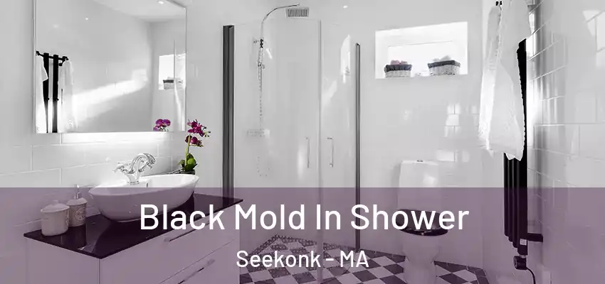 Black Mold In Shower Seekonk - MA