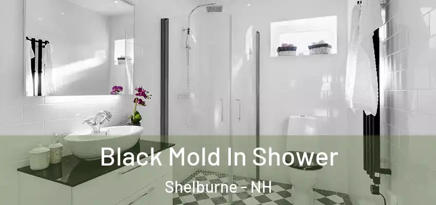 Black Mold In Shower Shelburne - NH