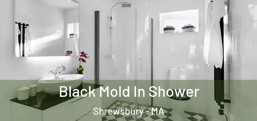  Black Mold In Shower Shrewsbury - MA