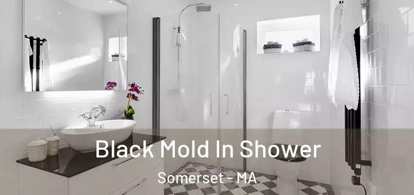 Black Mold In Shower Somerset - MA