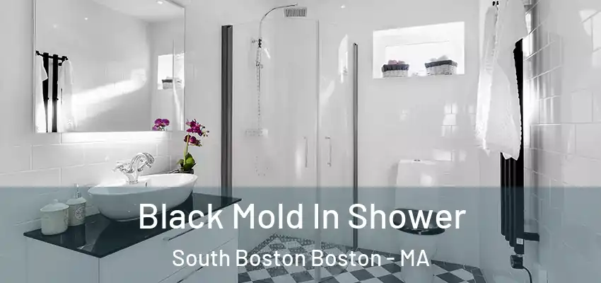 Black Mold In Shower South Boston Boston - MA
