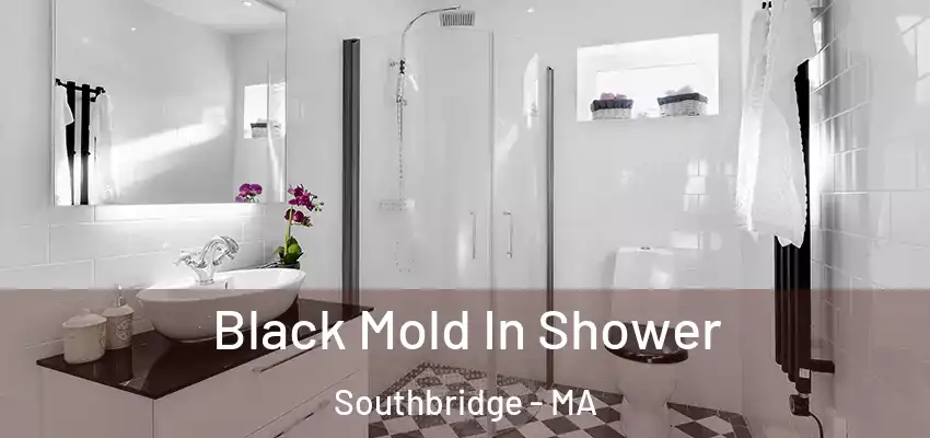 Black Mold In Shower Southbridge - MA