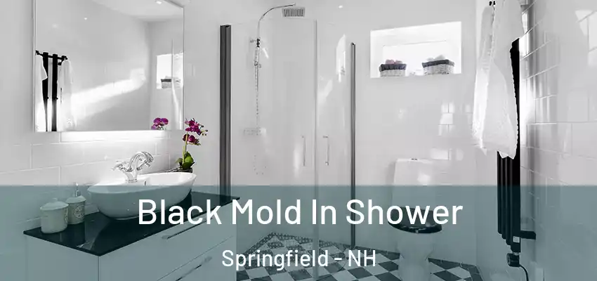  Black Mold In Shower Springfield - NH