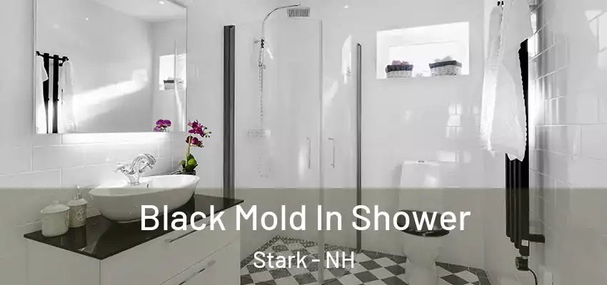  Black Mold In Shower Stark - NH