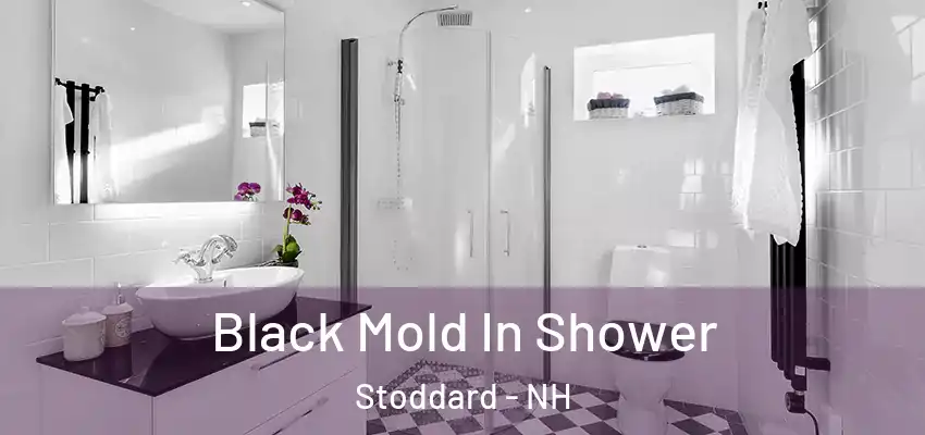  Black Mold In Shower Stoddard - NH