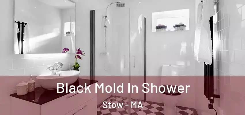 Black Mold In Shower Stow - MA